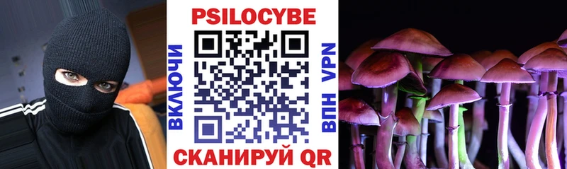наркотики Заволжск hydra онион Псилоцибиновые грибы Cubensis